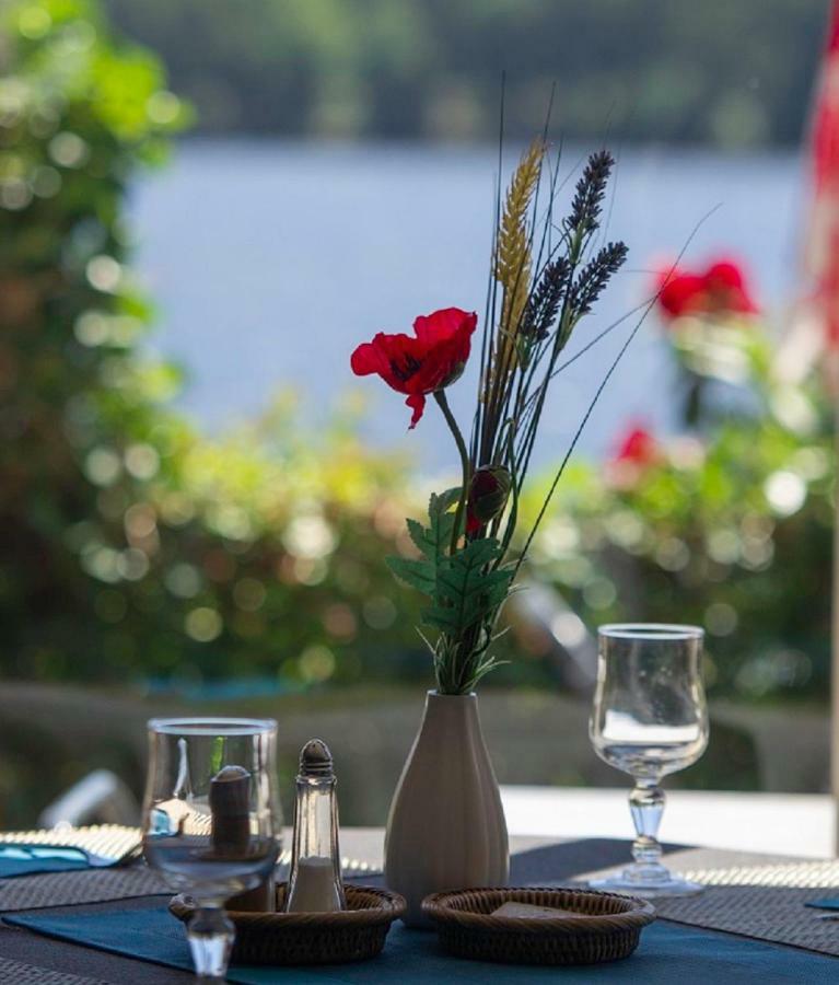 Logis Hotel Du Lac Neuvic  Zewnętrze zdjęcie