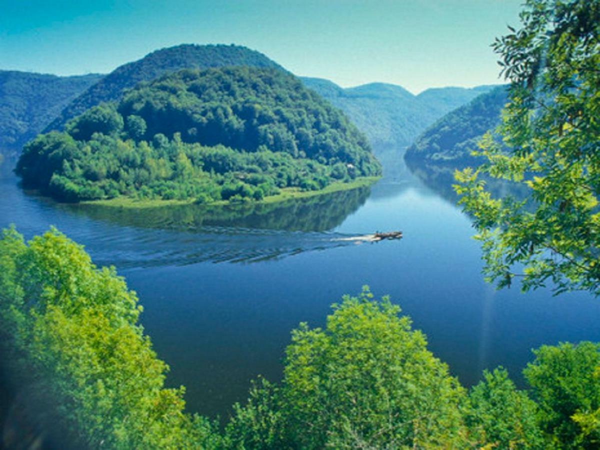 Logis Hotel Du Lac Neuvic  Zewnętrze zdjęcie